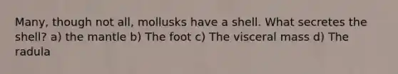 Many, though not all, mollusks have a shell. What secretes the shell? a) <a href='https://www.questionai.com/knowledge/kHR4HOnNY8-the-mantle' class='anchor-knowledge'>the mantle</a> b) The foot c) The visceral mass d) The radula