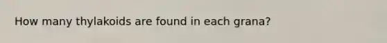 How many thylakoids are found in each grana?