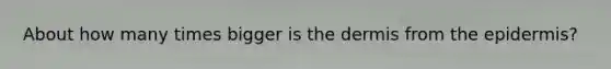 About how many times bigger is the dermis from the epidermis?