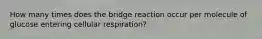 How many times does the bridge reaction occur per molecule of glucose entering cellular respiration?