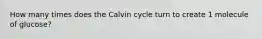 How many times does the Calvin cycle turn to create 1 molecule of glucose?