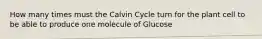 How many times must the Calvin Cycle turn for the plant cell to be able to produce one molecule of Glucose