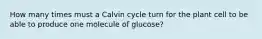 How many times must a Calvin cycle turn for the plant cell to be able to produce one molecule of glucose?