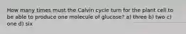 How many times must the Calvin cycle turn for the plant cell to be able to produce one molecule of glucose? a) three b) two c) one d) six