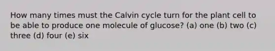 How many times must the Calvin cycle turn for the plant cell to be able to produce one molecule of glucose? (a) one (b) two (c) three (d) four (e) six