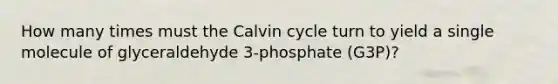 How many times must the Calvin cycle turn to yield a single molecule of glyceraldehyde 3-phosphate (G3P)?