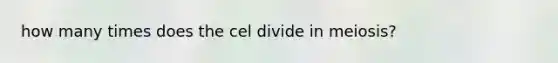 how many times does the cel divide in meiosis?