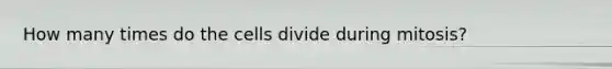 How many times do the cells divide during mitosis?