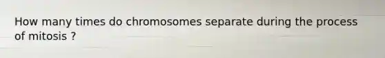 How many times do chromosomes separate during the process of mitosis ?