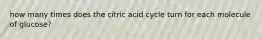 how many times does the citric acid cycle turn for each molecule of glucose?