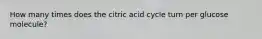 How many times does the citric acid cycle turn per glucose molecule?