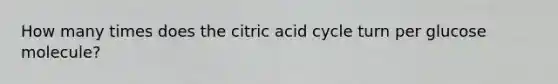 How many times does the citric acid cycle turn per glucose molecule?