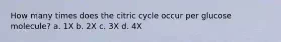 How many times does the citric cycle occur per glucose molecule? a. 1X b. 2X c. 3X d. 4X