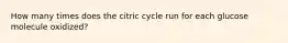 How many times does the citric cycle run for each glucose molecule oxidized?