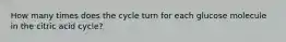 How many times does the cycle turn for each glucose molecule in the citric acid cycle?