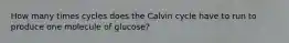 How many times cycles does the Calvin cycle have to run to produce one molecule of glucose?