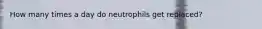 How many times a day do neutrophils get replaced?