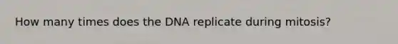 How many times does the DNA replicate during mitosis?