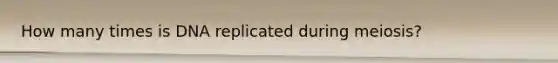 How many times is DNA replicated during meiosis?