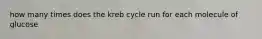 how many times does the kreb cycle run for each molecule of glucose