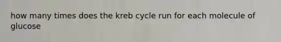 how many times does the kreb cycle run for each molecule of glucose