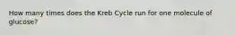 How many times does the Kreb Cycle run for one molecule of glucose?