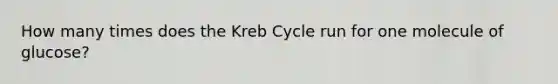 How many times does the Kreb Cycle run for one molecule of glucose?