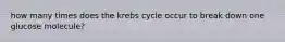 how many times does the krebs cycle occur to break down one glucose molecule?