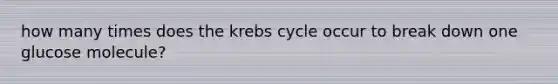 how many times does the krebs cycle occur to break down one glucose molecule?