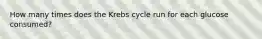 How many times does the Krebs cycle run for each glucose consumed?