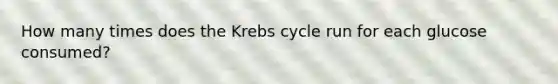 How many times does the Krebs cycle run for each glucose consumed?