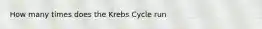 How many times does the Krebs Cycle run