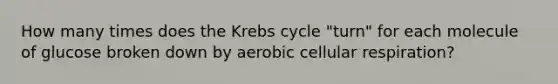 How many times does the Krebs cycle "turn" for each molecule of glucose broken down by aerobic cellular respiration?