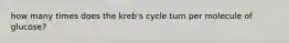 how many times does the kreb's cycle turn per molecule of glucose?