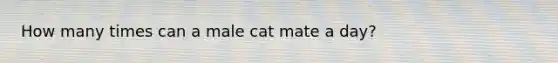 How many times can a male cat mate a day?