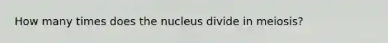 How many times does the nucleus divide in meiosis?