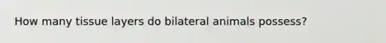 How many tissue layers do bilateral animals possess?