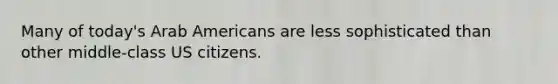 Many of today's Arab Americans are less sophisticated than other middle-class US citizens.