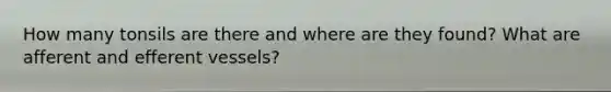 How many tonsils are there and where are they found? What are afferent and efferent vessels?