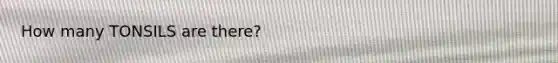 How many TONSILS are there?