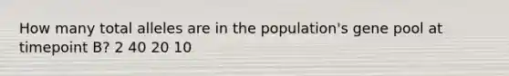 How many total alleles are in the population's gene pool at timepoint B? 2 40 20 10