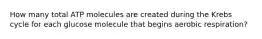 How many total ATP molecules are created during the Krebs cycle for each glucose molecule that begins aerobic respiration?
