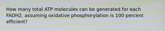 How many total ATP molecules can be generated for each FADH2, assuming oxidative phosphorylation is 100 percent efficient?