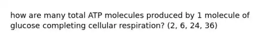 how are many total ATP molecules produced by 1 molecule of glucose completing cellular respiration? (2, 6, 24, 36)