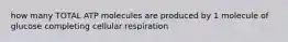 how many TOTAL ATP molecules are produced by 1 molecule of glucose completing cellular respiration