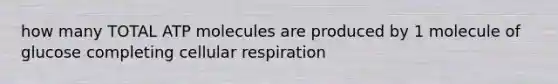 how many TOTAL ATP molecules are produced by 1 molecule of glucose completing cellular respiration