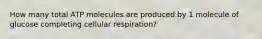 How many total ATP molecules are produced by 1 molecule of glucose completing cellular respiration?