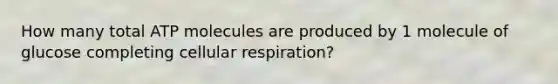 How many total ATP molecules are produced by 1 molecule of glucose completing <a href='https://www.questionai.com/knowledge/k1IqNYBAJw-cellular-respiration' class='anchor-knowledge'>cellular respiration</a>?