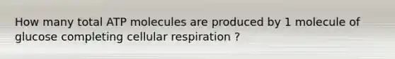 How many total ATP molecules are produced by 1 molecule of glucose completing cellular respiration ? ​