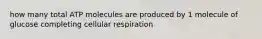 how many total ATP molecules are produced by 1 molecule of glucose completing cellular respiration